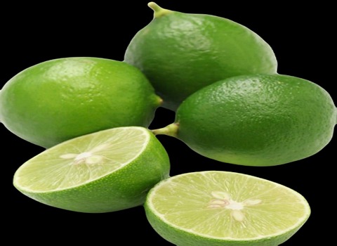 قیمت خرید لیمو ترش مینابی با فروش عمده